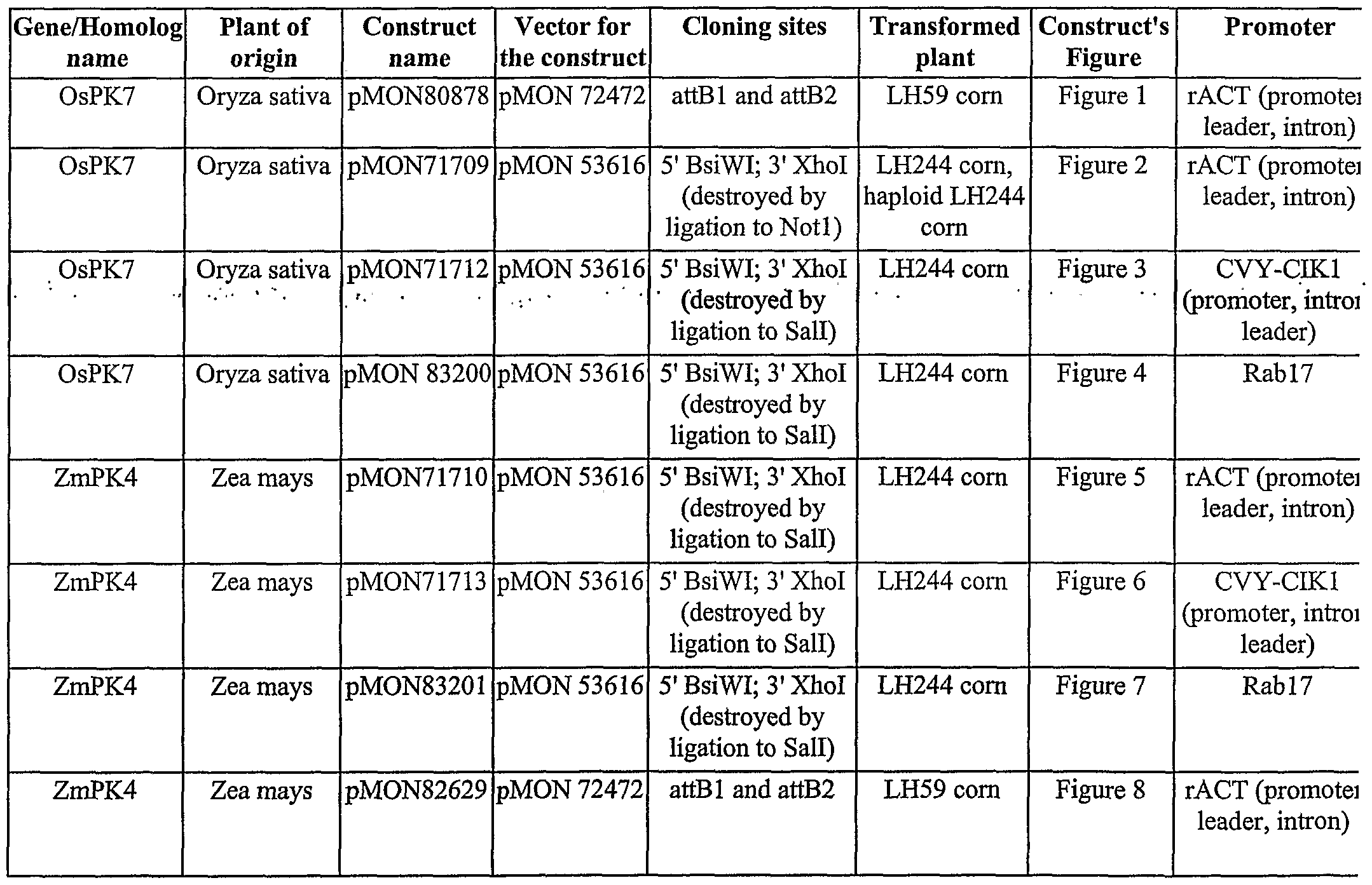 14 Labeled Plant Cell Parts Worksheet Worksheeto