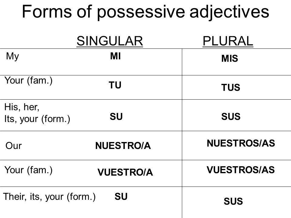 Study Spanish Possessive Adjectives Quiz Answers