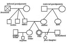 3 Generation Family Genogram Template