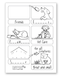 Animal Basic Needs Worksheet