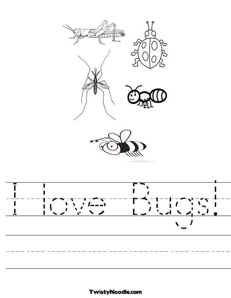 Bugs and Insects Worksheets