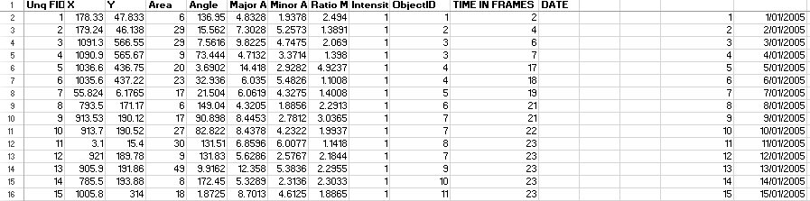 Excel Input Value