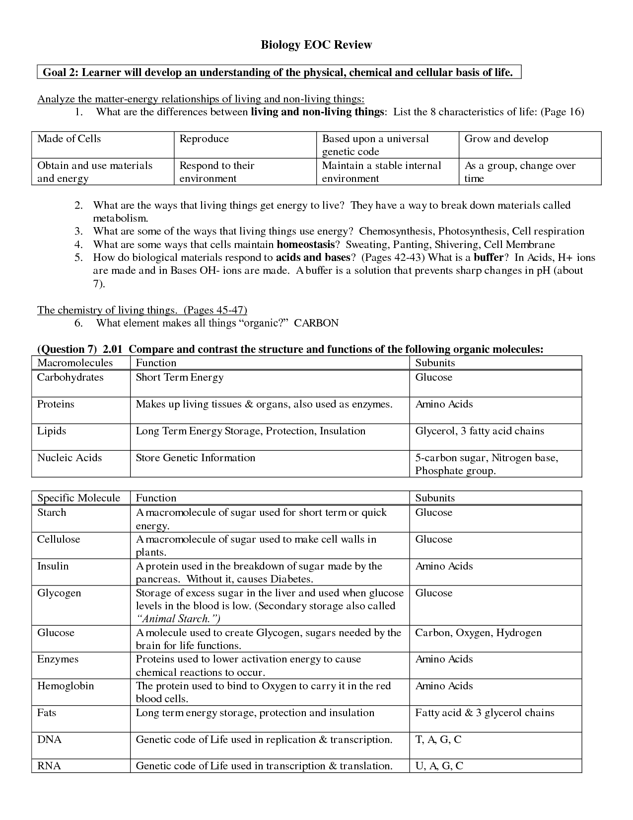 Macromolecule Worksheet Answer Key