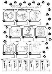 Printable Pet Worksheets Preschool