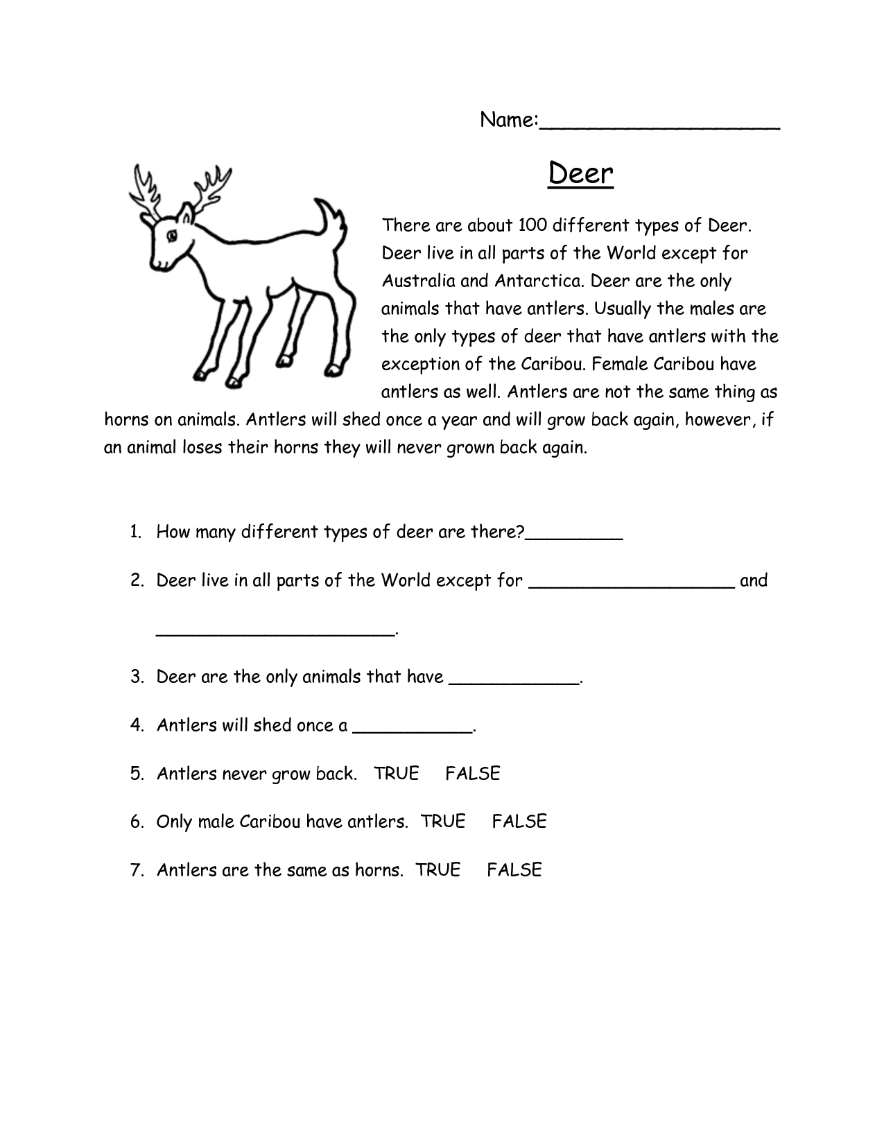 15 5 W s Story Comprehension Worksheets Worksheeto