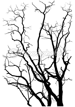 Tree Branches Silhouette