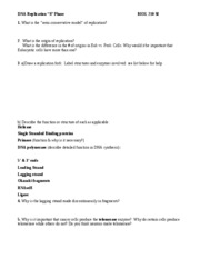 DNA Replication Worksheet Key