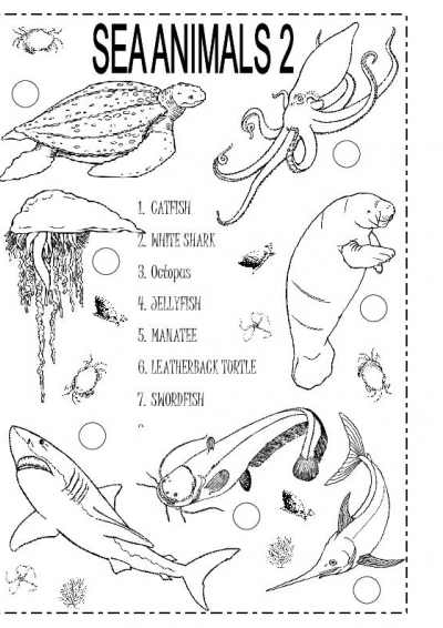 Free Printable Sea Animal Worksheets