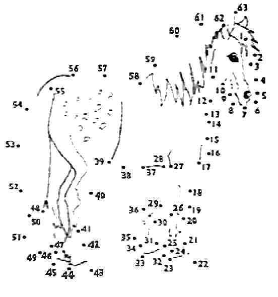 Horse Connect the Dots Printables