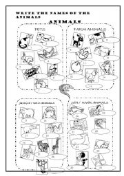 Land and Sea Animals Worksheets