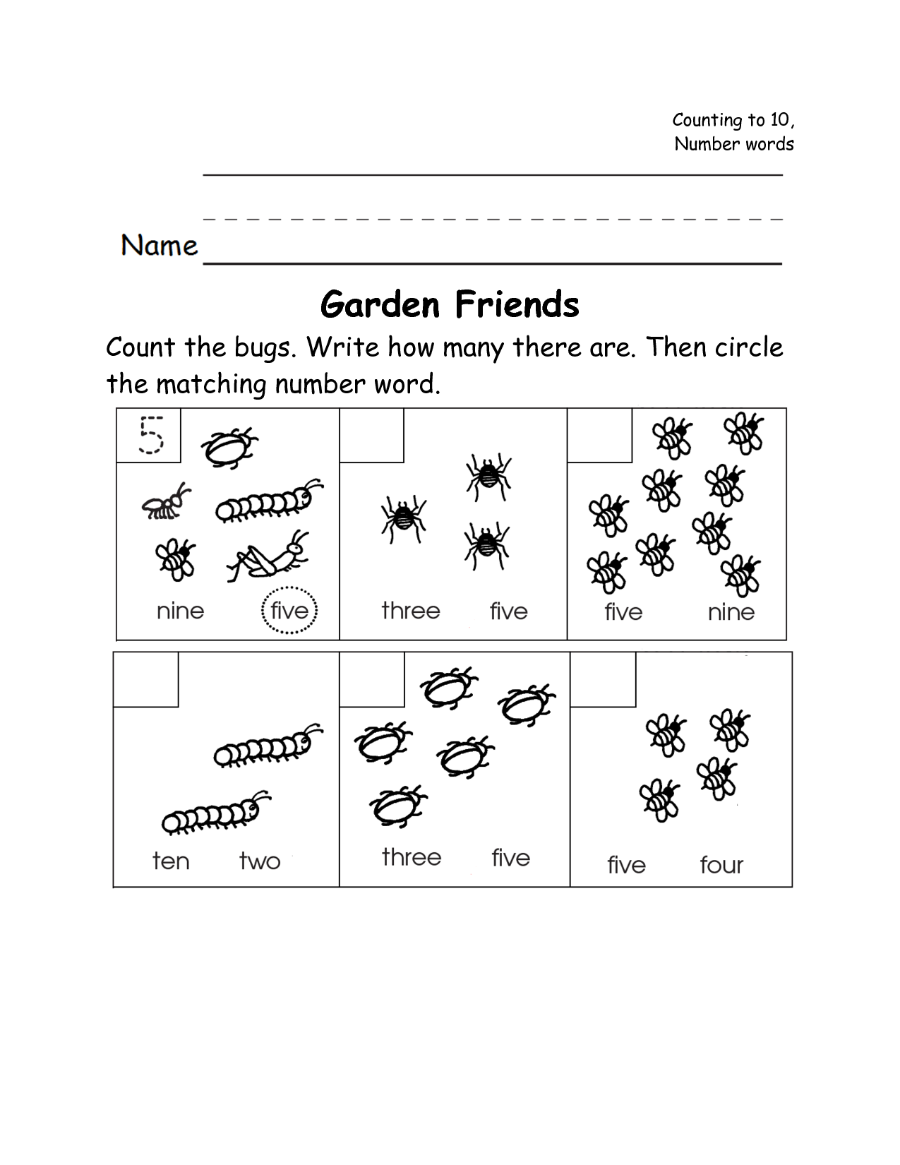 Bug Counting Worksheets