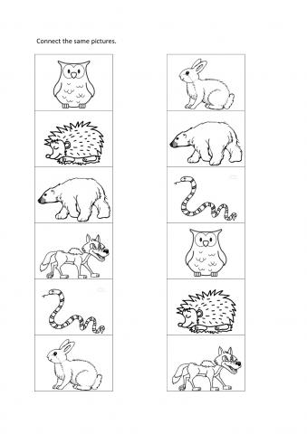 Forest Animals Worksheets Printable