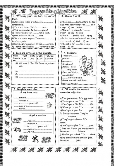 Possessive Adjectives Worksheets