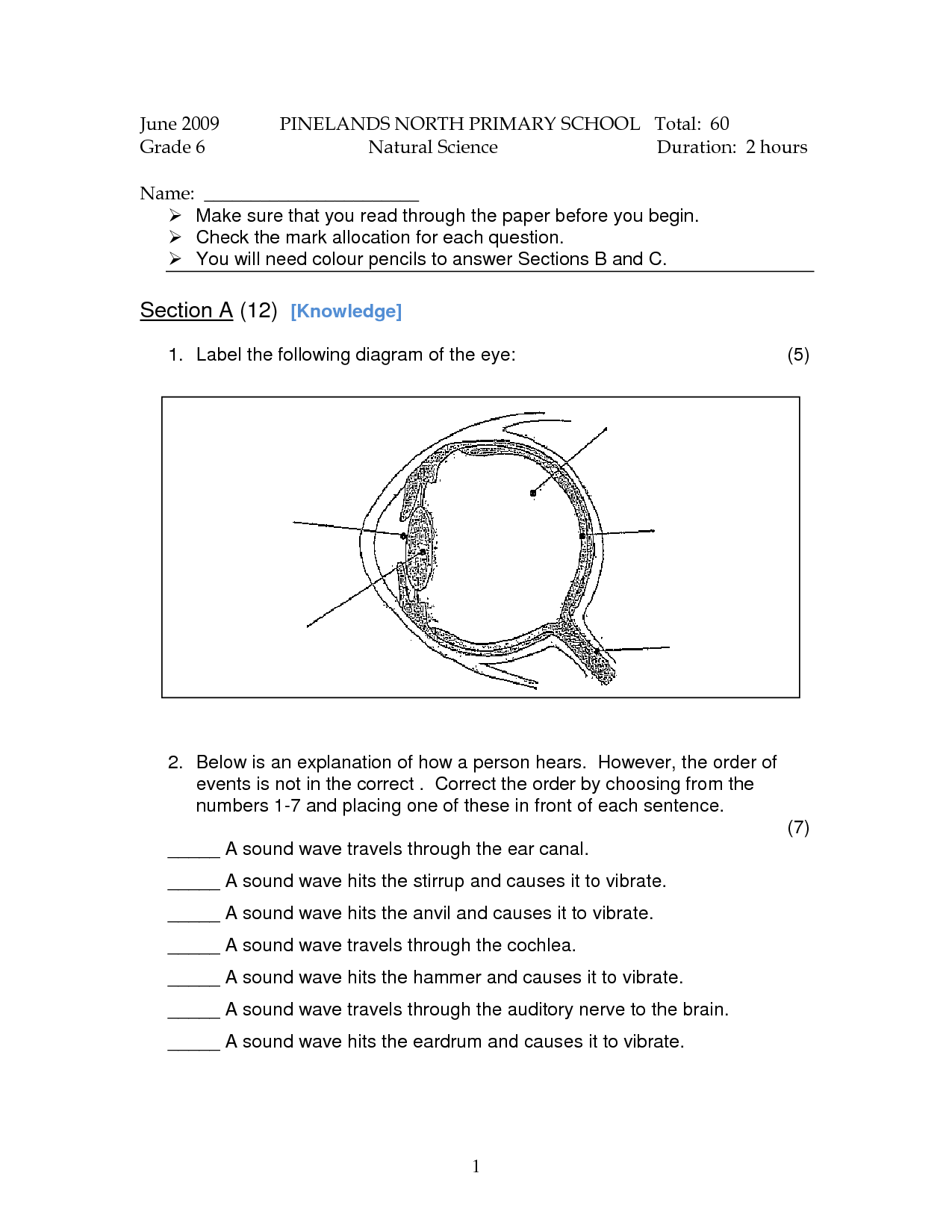 18 Best Science Worksheets Worksheeto