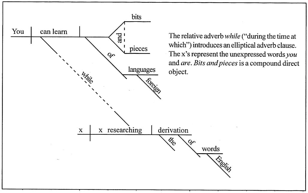 12 Beginner Sentence Diagramming Worksheets Worksheeto