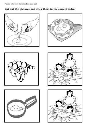 Activity Sequencing Life Cycle of Chickens