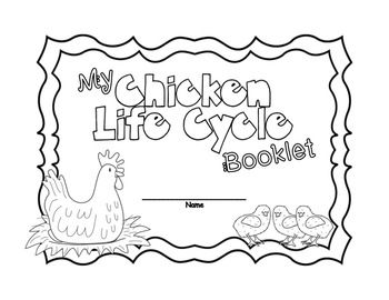 Chicken Life Cycle Activities