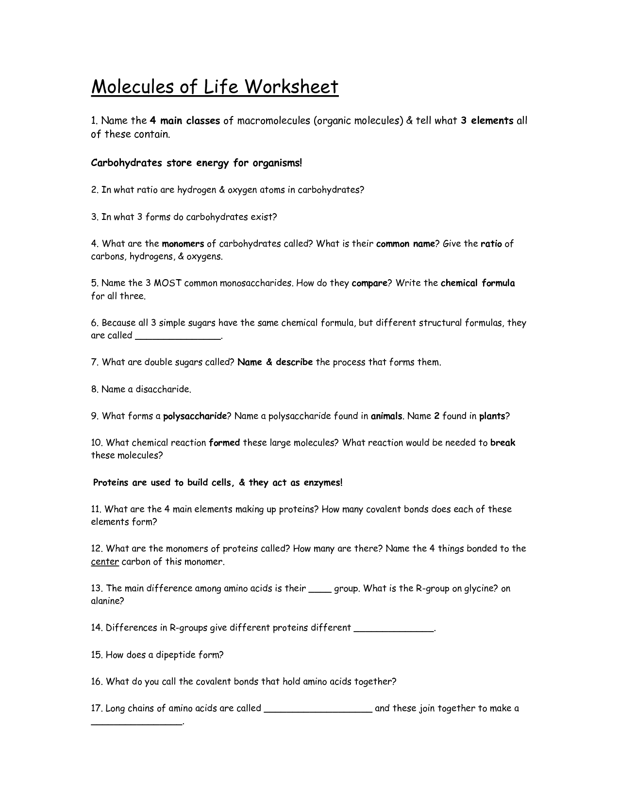 Molecules of Life Worksheet Answers