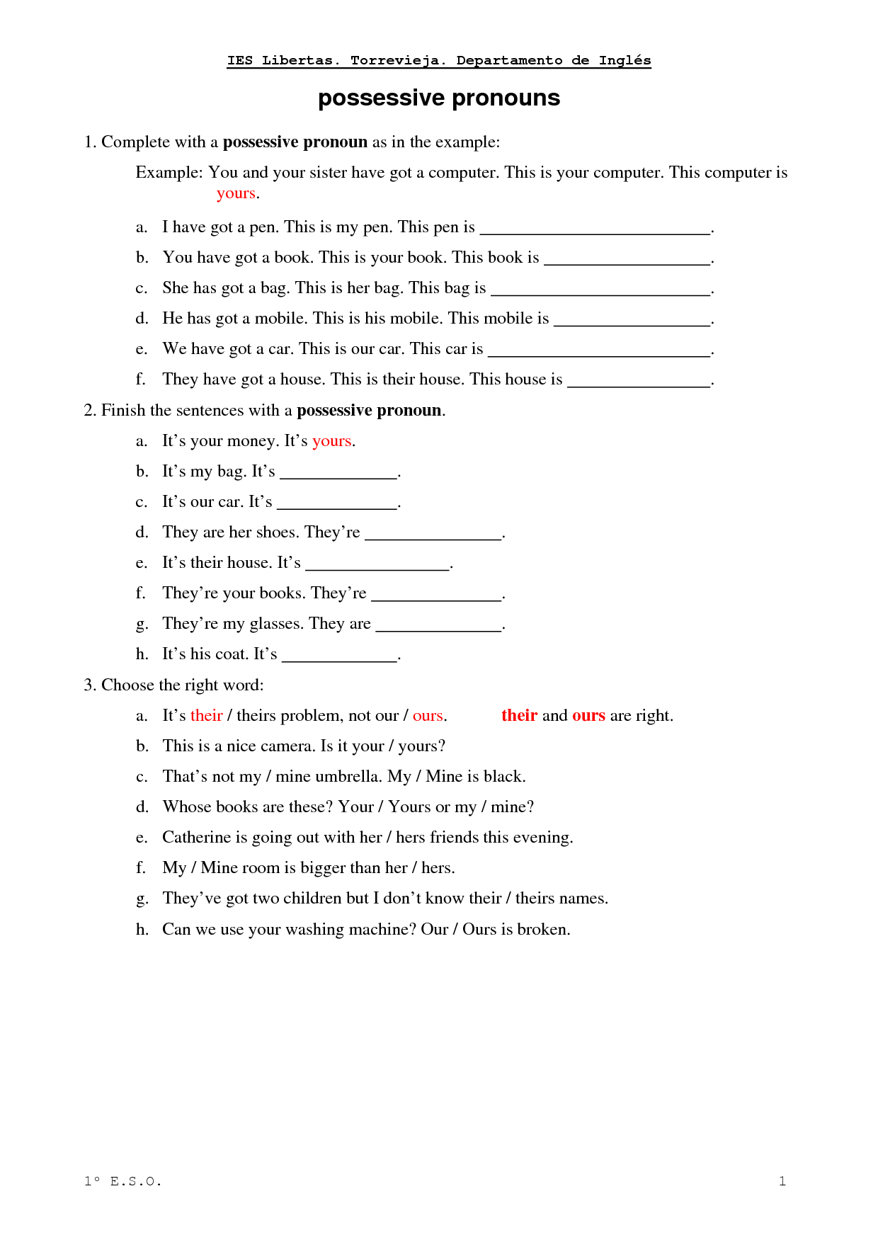 Possessive Pronouns Exercises