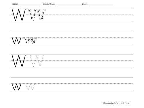 Toddler Net Worksheets