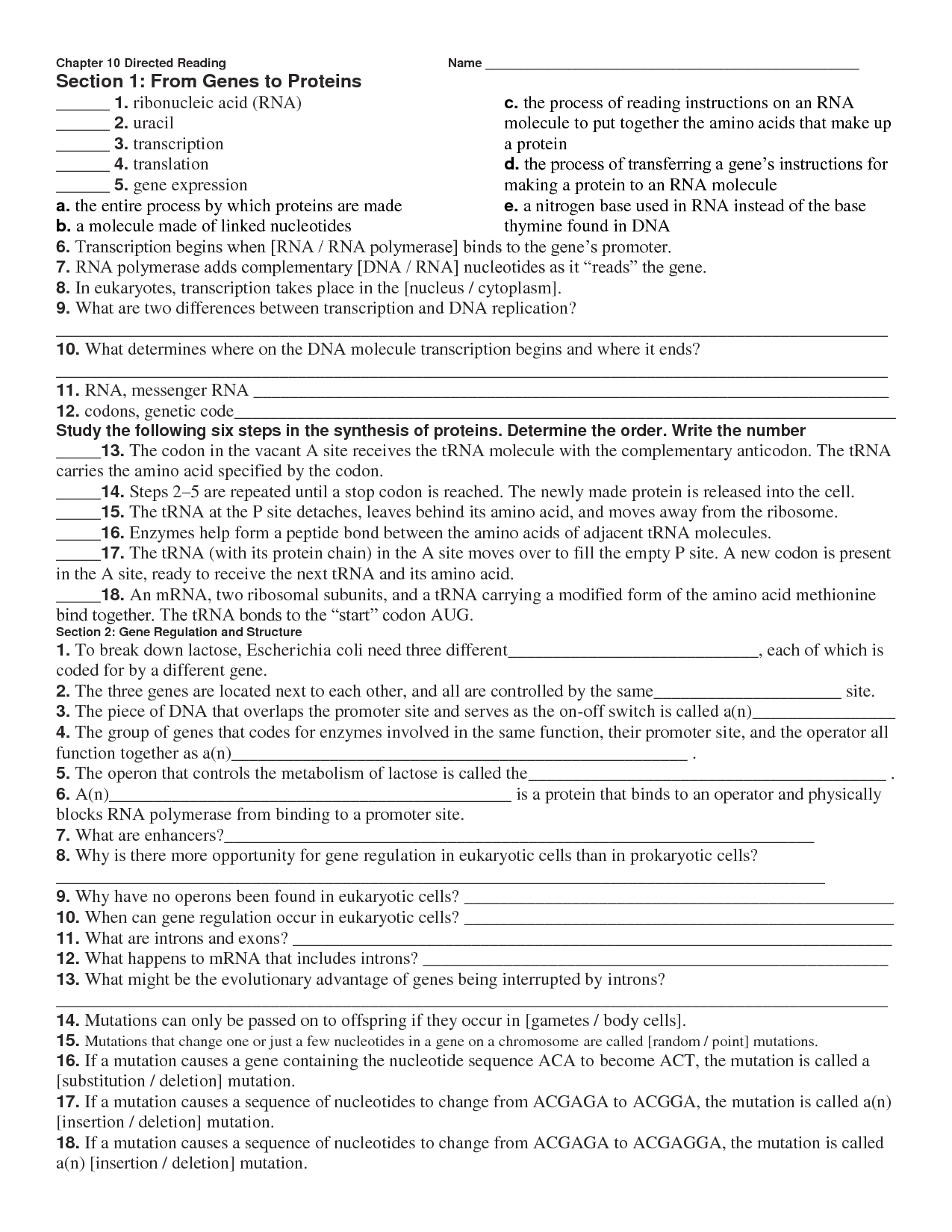 Chapter 11 DNA and Genes Worksheet Answer Key