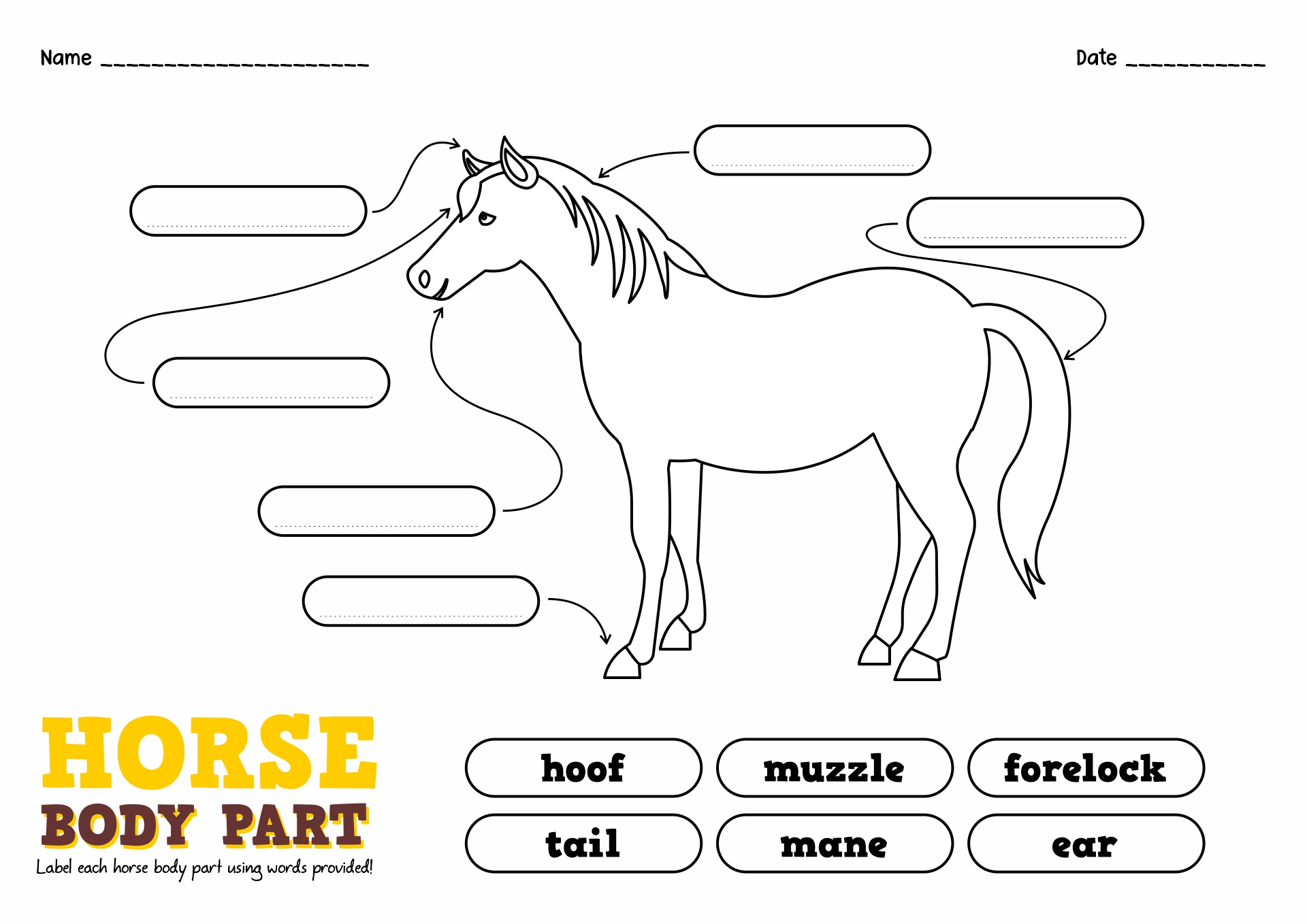 8 Best Images of Points Of The Horse Worksheet - Label the Horse ...