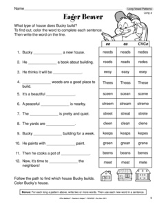 Spelling Patterns Worksheets 3rd Grade