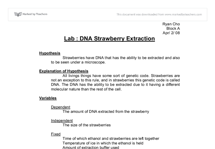 15 DNA Extraction Worksheet Worksheeto