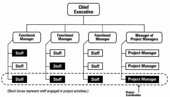 Matrix Organization Structure