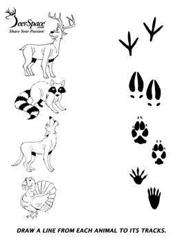 Animal Tracks Worksheet Activities