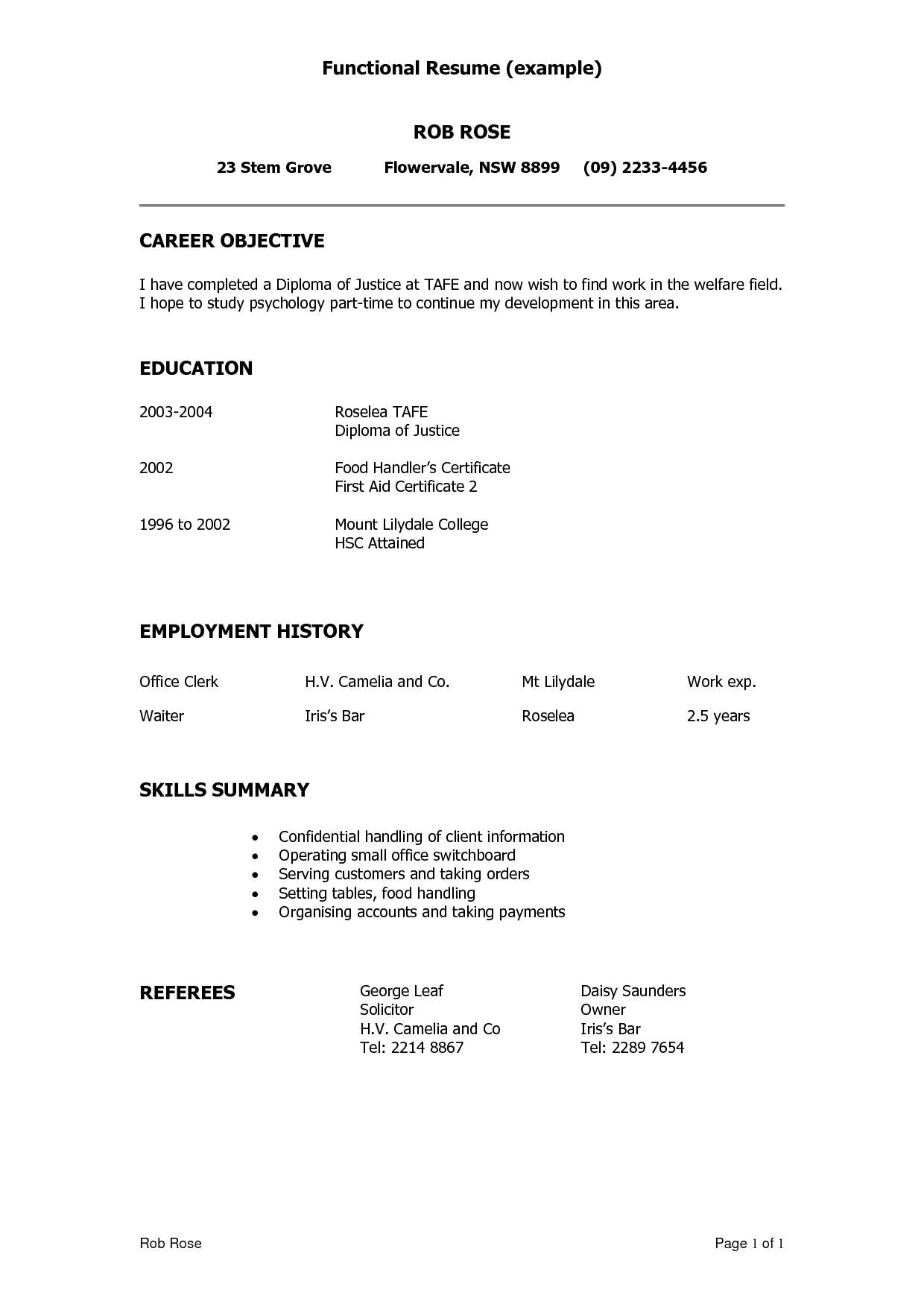 Resume Summary Examples