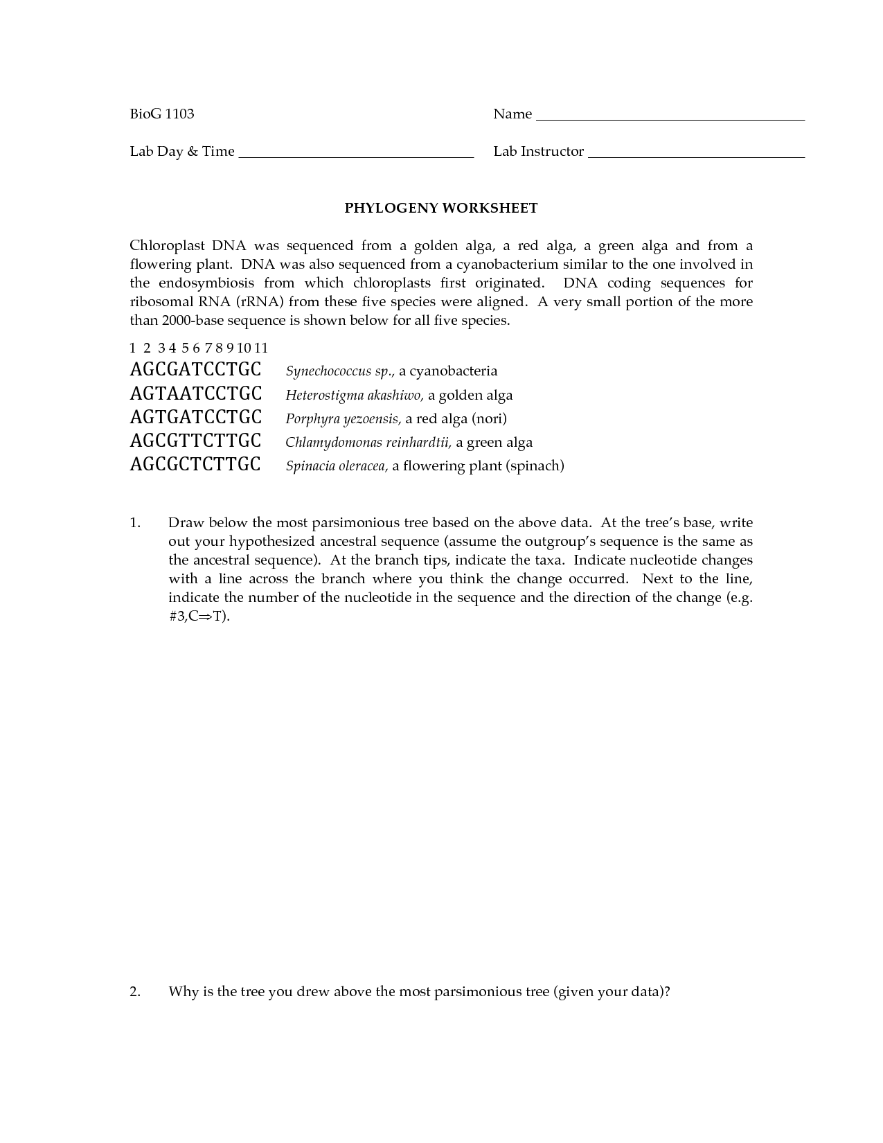 Cladogram Worksheet Biology