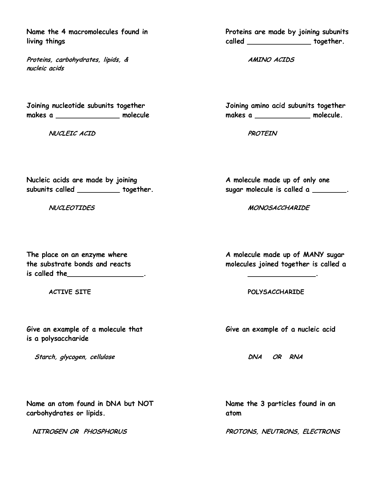 Autotroph and Heterotroph Worksheet