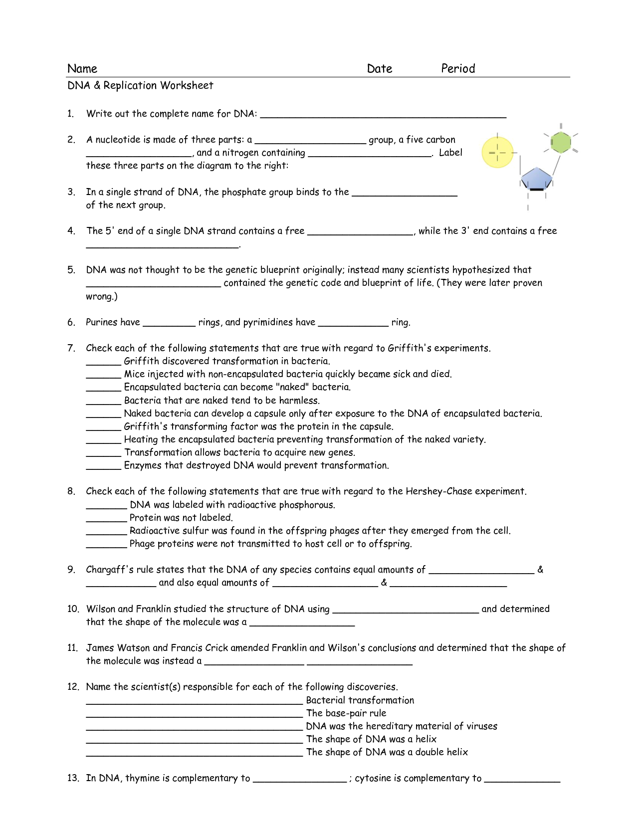 17 DNA Worksheet Printable Worksheeto