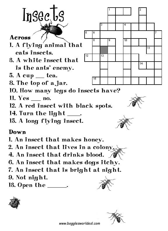 Insect Crossword Puzzle for Kids