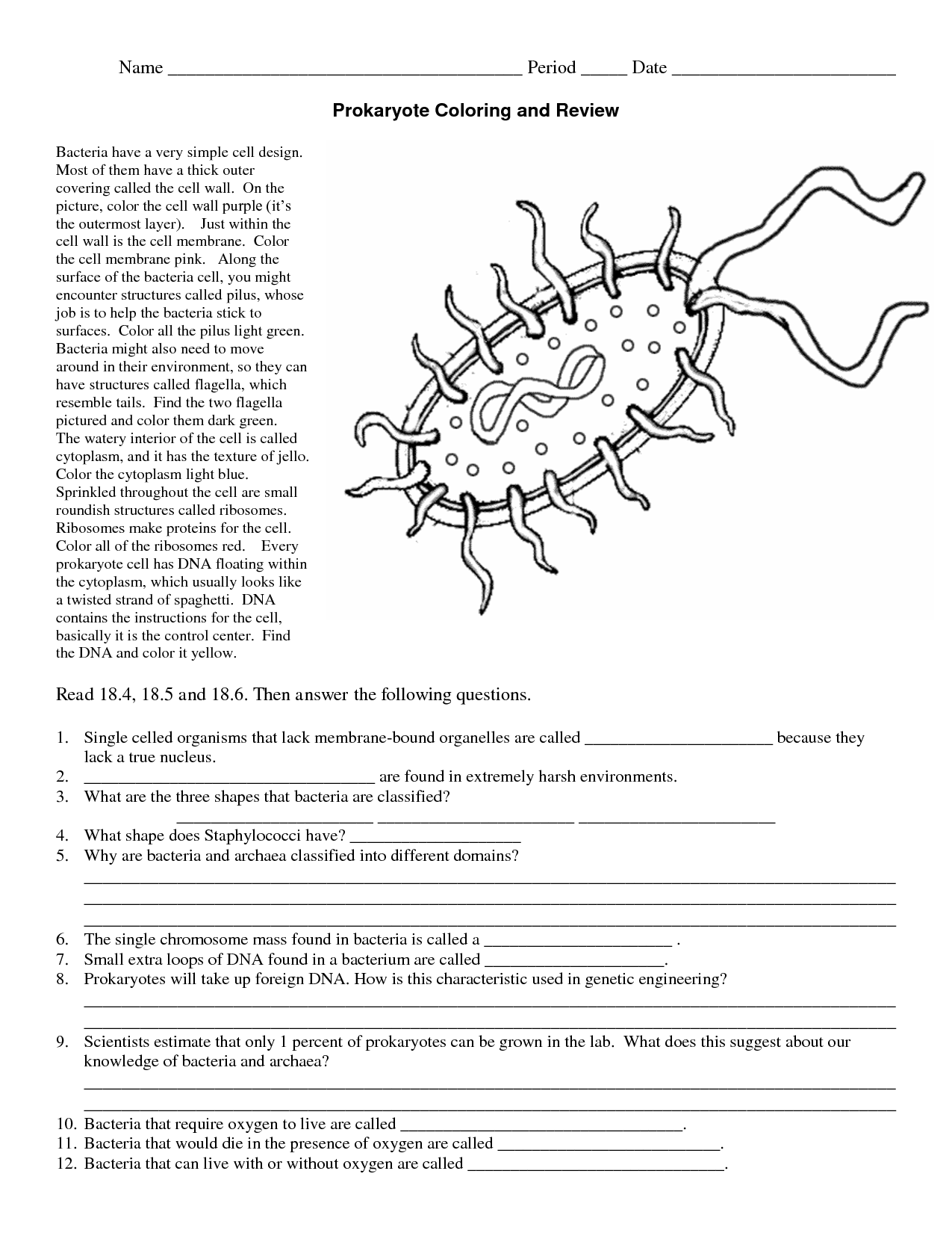 Prokaryotic Cell Coloring Sheet