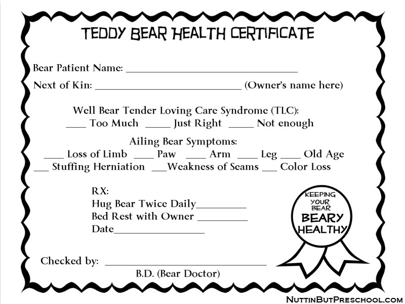 Teddy Bear Health Certificate