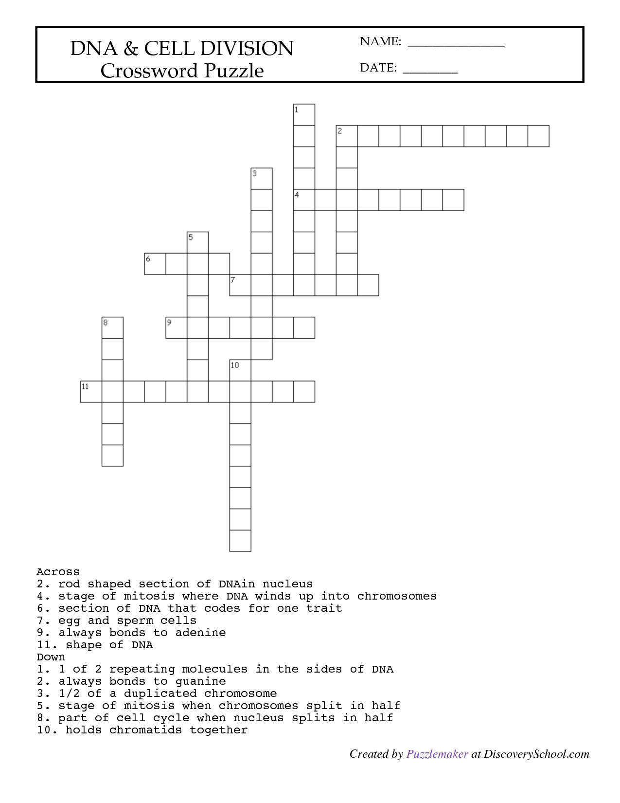 14 Mitosis Worksheet Answers Crossword Worksheeto