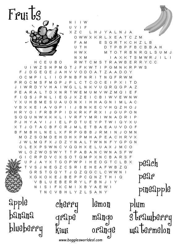 Food Chain Worksheets