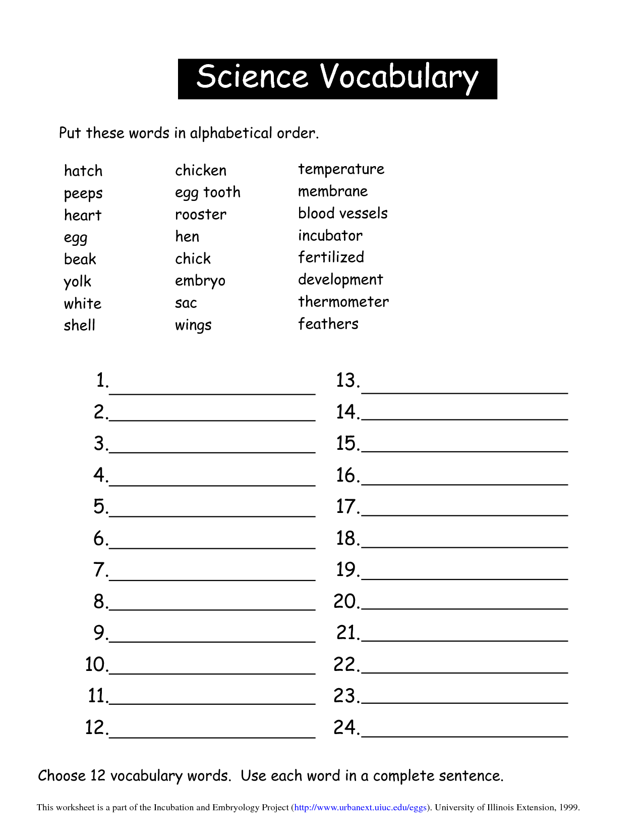 Science Vocabulary Worksheets