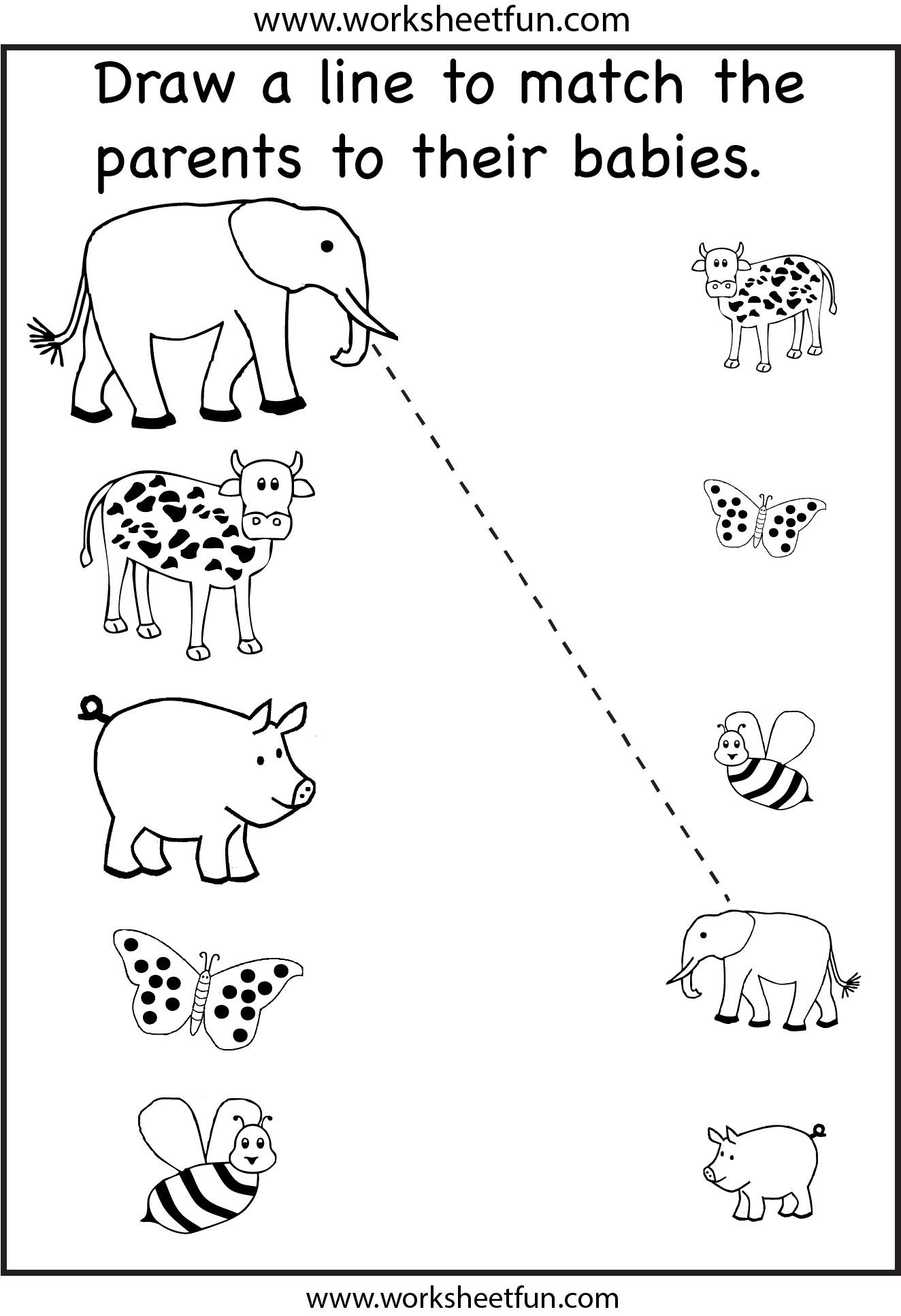 match mother and baby animals worksheet