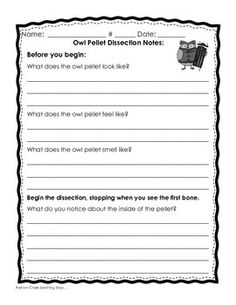 Owl Pellet Lab Sheet