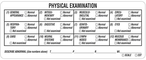 Physical Exam Checklist