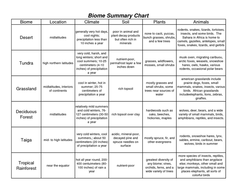 16 A World Famous Table Worksheet Answers Worksheeto