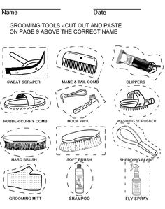 Horse Grooming Worksheets