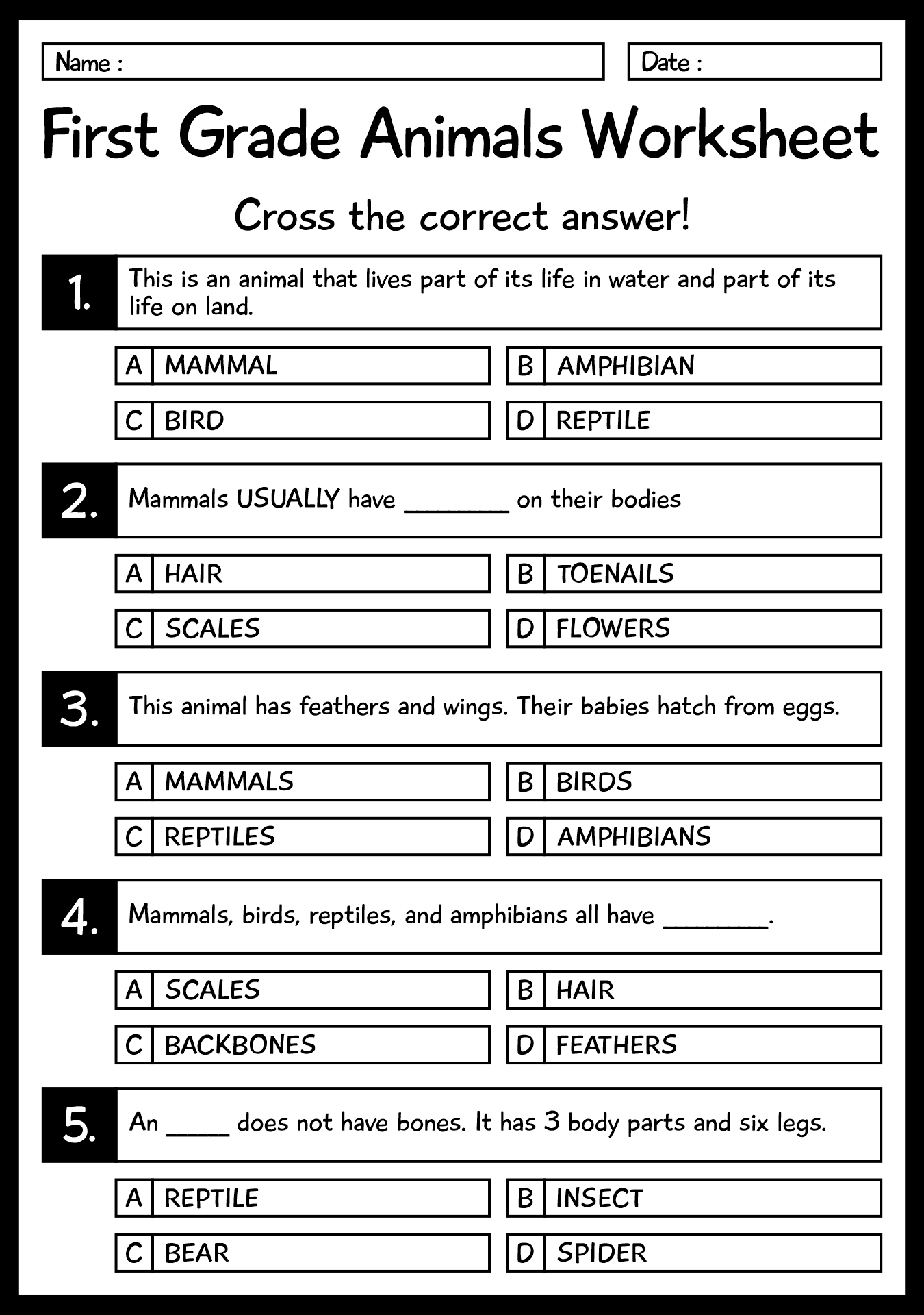 1st Grade Biology Worksheets for Kids