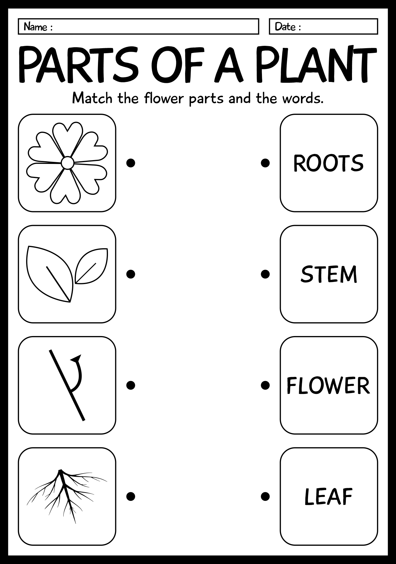 1st Grade Life Science Activity Sheets