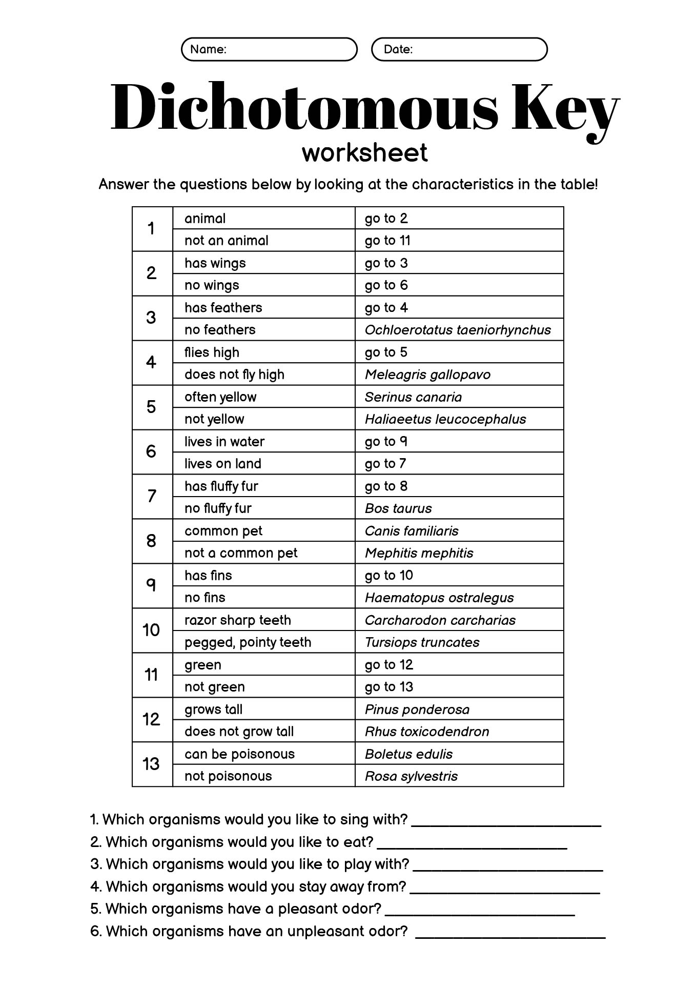 Animal Dichotomous Key Worksheets With Solutions