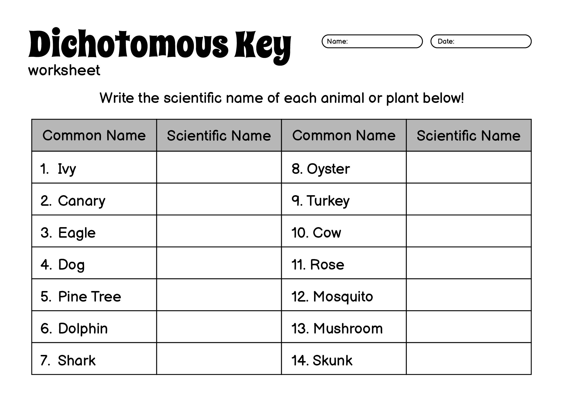 Dichotomous Key Biology Worksheets With Answers