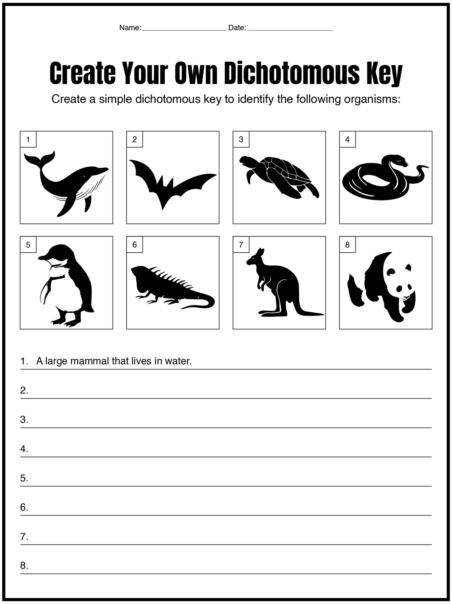 Dichotomous Key Identification Worksheets with Answers